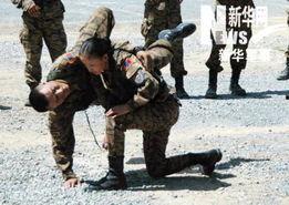 国产电影军人格斗视频,国产电影中的军人格斗传奇