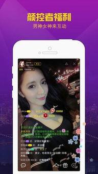 国产全部恋夜视频us,探索中国爱情故事的独特魅力