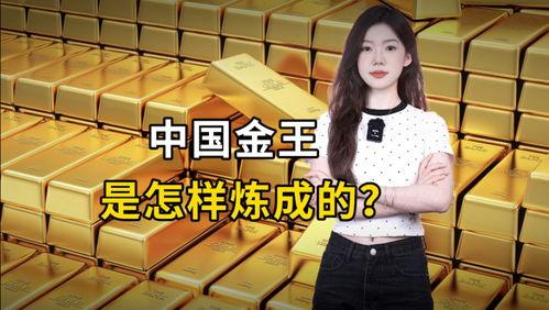 1204国产你懂的视频,揭秘国产影视的崛起之路