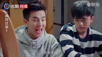 国产精致猪猪少年视频,青春洋溢，梦想起航