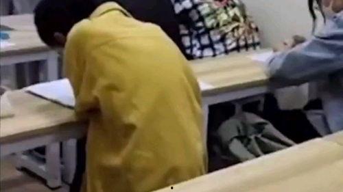 插老师的视频国产,插老师视频中的绿色智慧与实践探索