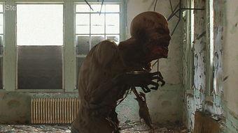 国产丧尸短视频大全最新,惊悚狂欢，揭秘末世生存法则