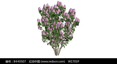 丁香国产精品视频分类,多元题材，精彩纷呈  第2张